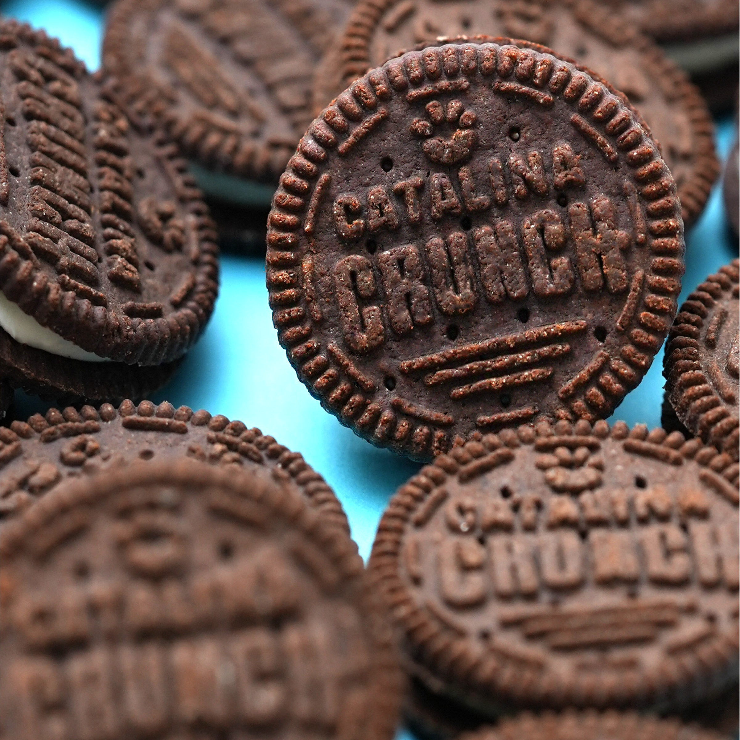 Chocolate Vanilla Cookies