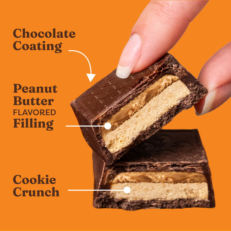 Peanut Butter Chocolate Cookie Bars