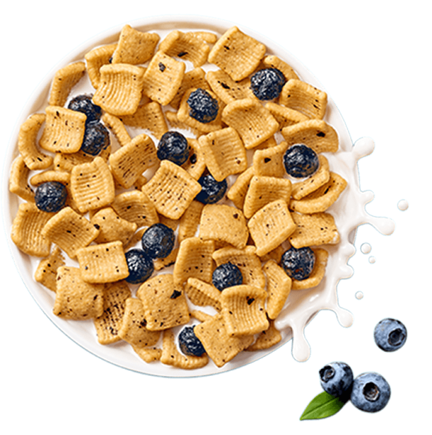Protein Cereal